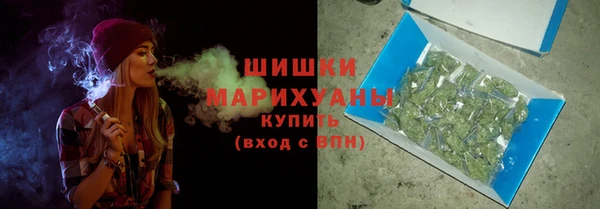 дмт Карпинск