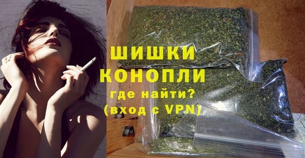 дмт Карпинск