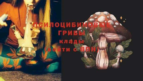 дмт Карпинск