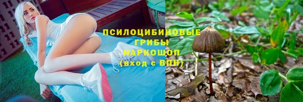 дмт Карпинск