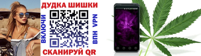 Купить  Кизляр  Бошки Шишки планчик 